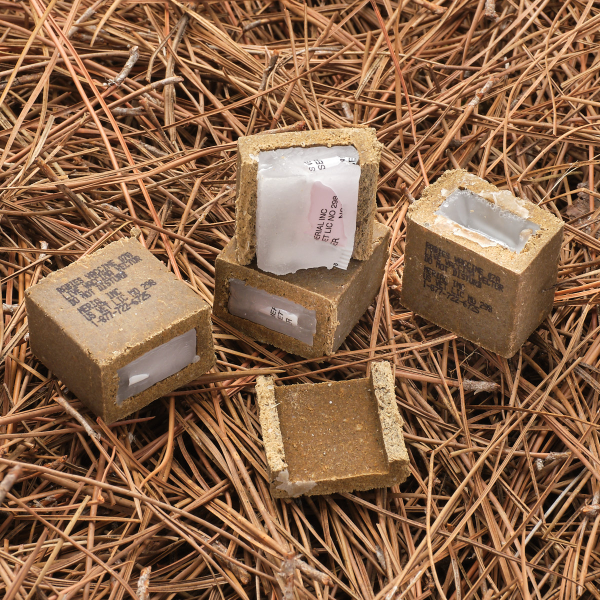 Raboral V-RG Baits